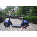 9,5 Zoll Big Wheel Citycoco Two Wheel Electric Bike (Harley Elektroroller)